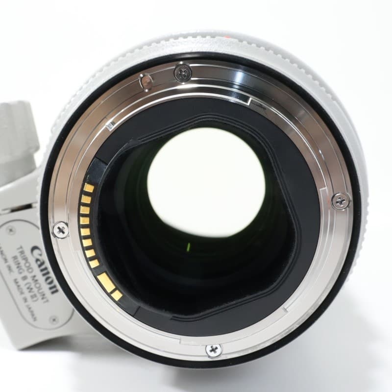 EF70-200mm F2.8L IS III USM
