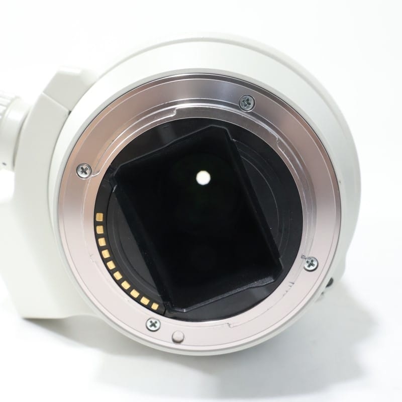 FE 70-200mm F4 G OSS SEL70200G