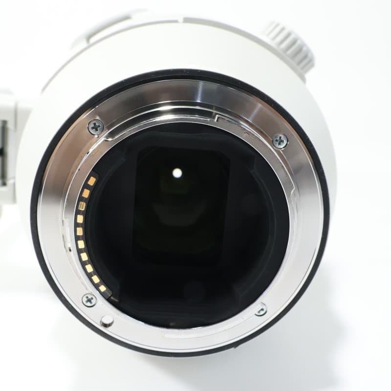 FE 200-600mm F5.6-6.3 G OSS SEL200600G