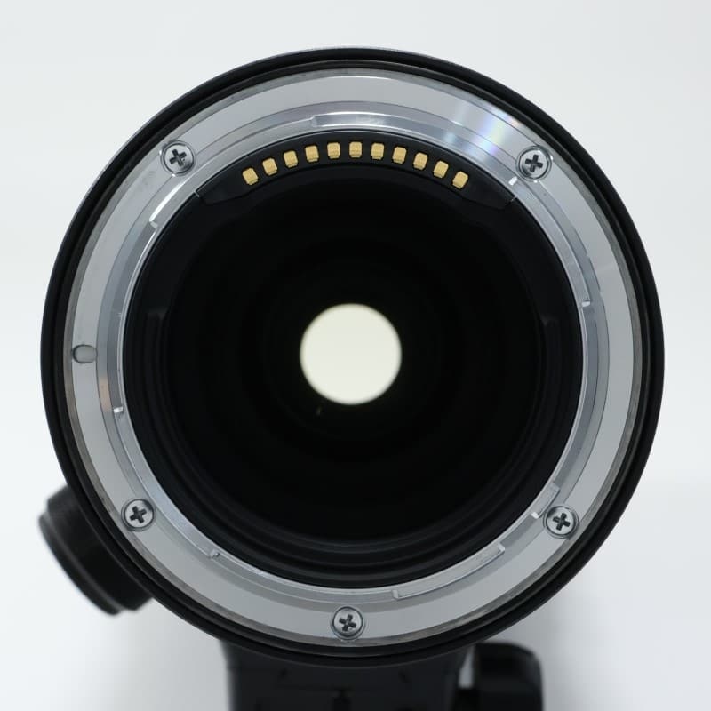 NIKKOR Z 600mm f/6.3 VR S