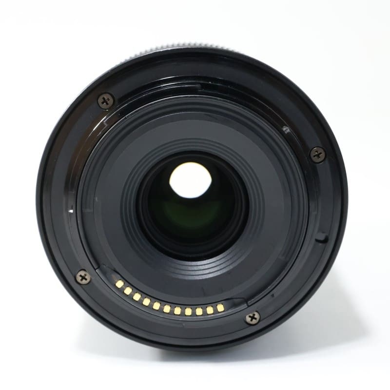 NIKKOR Z DX 50-250mm f/4.5-6.3 VR