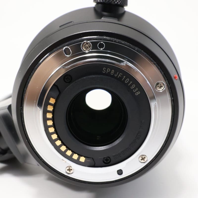 LEICA DG VARIO-ELMAR 100-400mm / F4.0-6.3 ASPH. / POWER O.I.S.