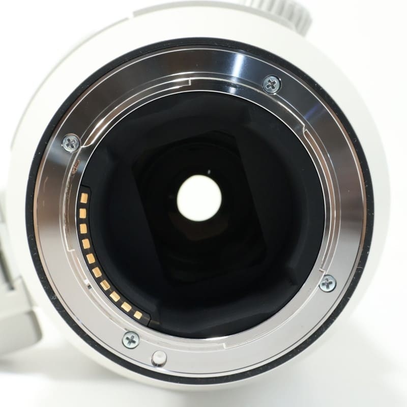 FE 200-600mm F5.6-6.3 G OSS SEL200600G