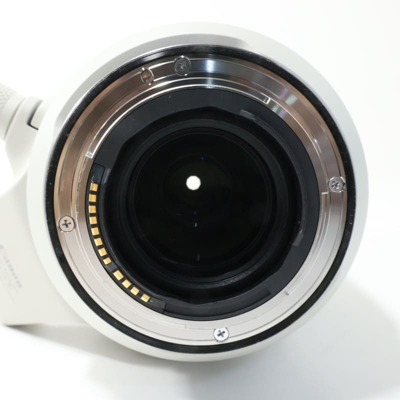 RF100-500mm F4.5-7.1 L IS USM