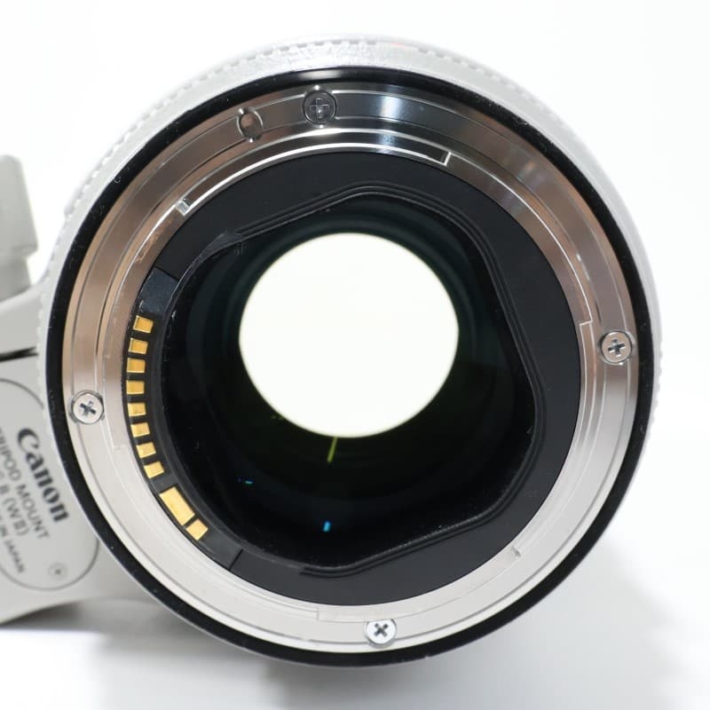 EF70-200mm F2.8L IS III USM