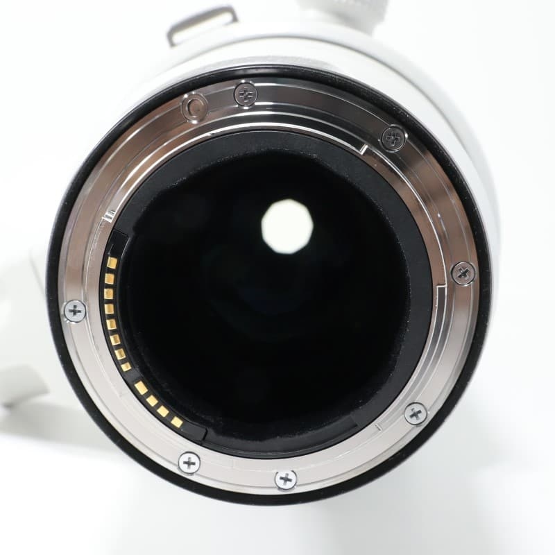 RF100-300mm F2.8 L IS USM