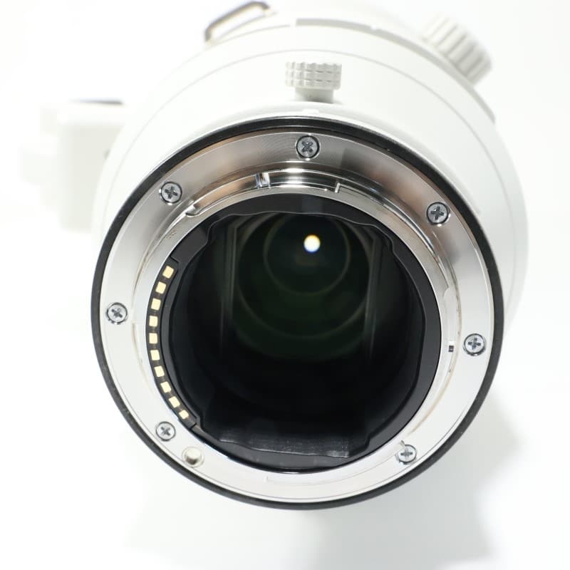 FE 600mm F4 GM OSS SEL600F40GM