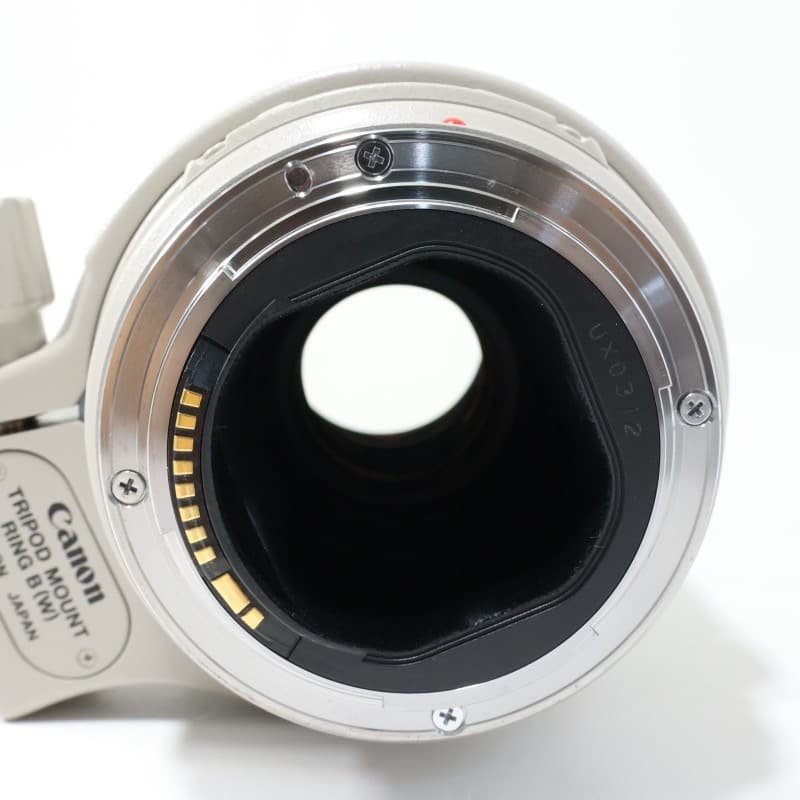 EF 300mm F4 L IS USM