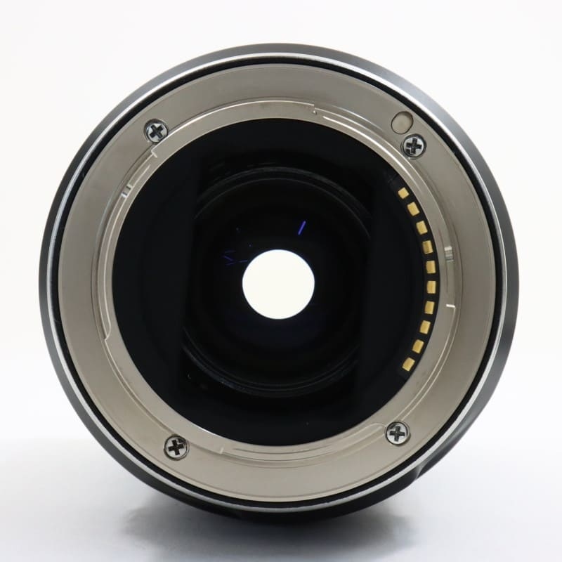 28-300mm F/4-7.1 Di III VC VXD ソニーEマウント用 A074