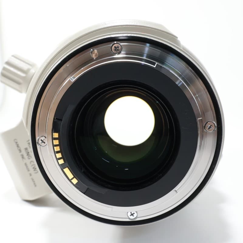 EF 28-300mm F3.5-5.6 L IS USM