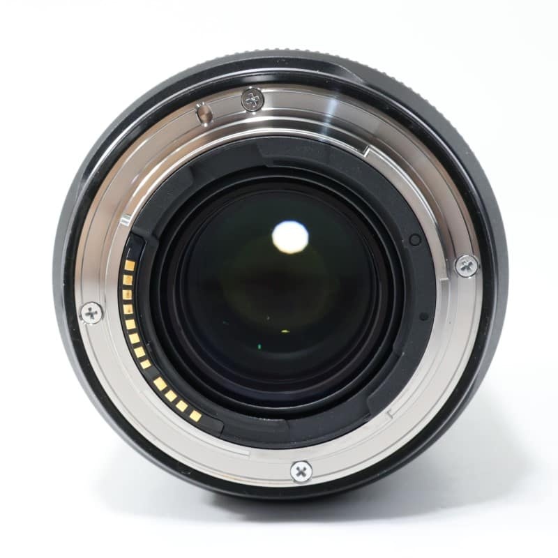 RF24mm F1.4 L VCM