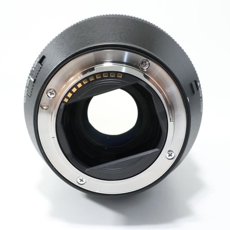 FE 28-70mm F2 GM SEL2870GM