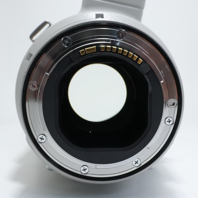 EF 400mm F2.8 L IS II USM