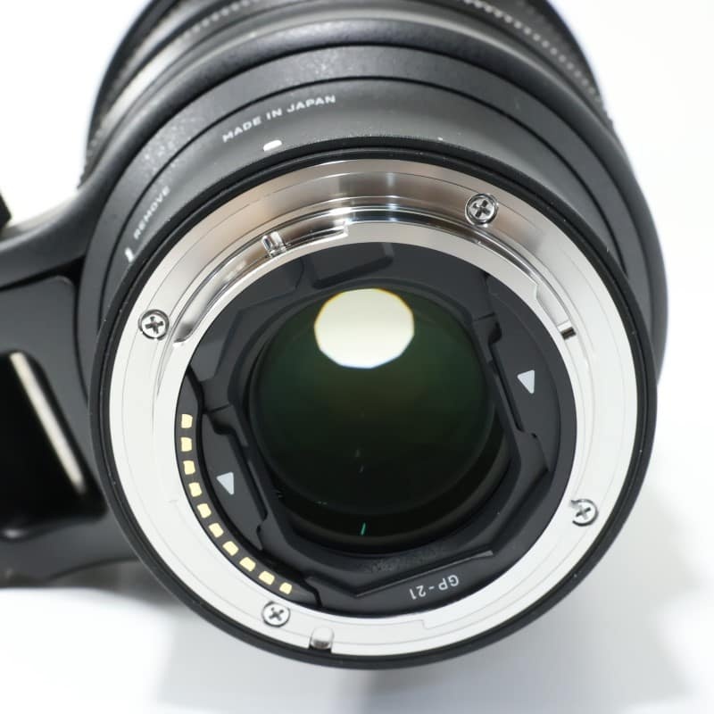 15mm F1.4 DG DN DIAGONAL FISHEYE | Art ソニーE