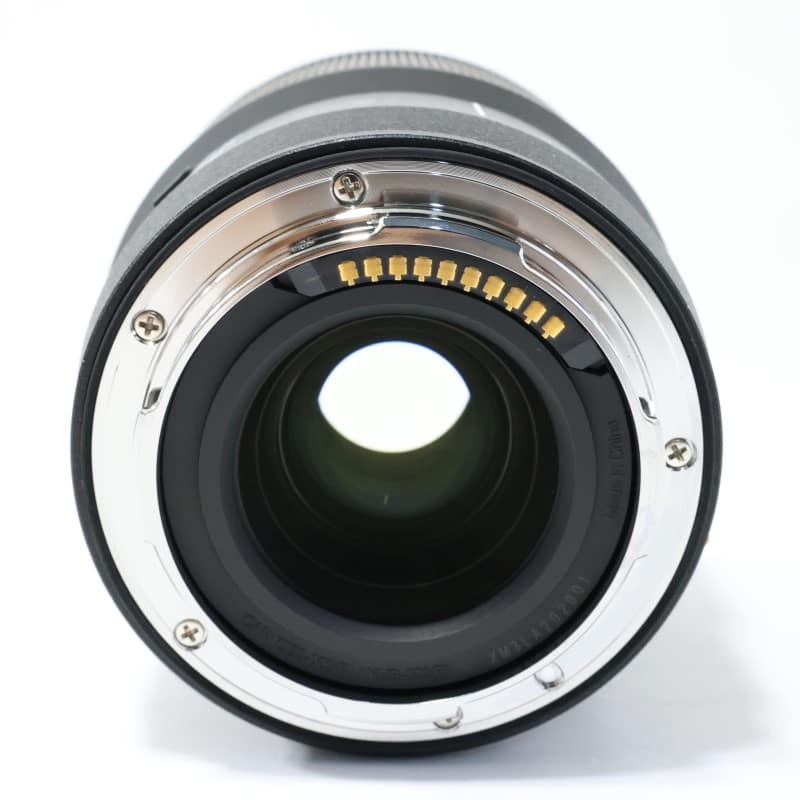 LUMIX S 100mm F2.8 MACRO S-E100