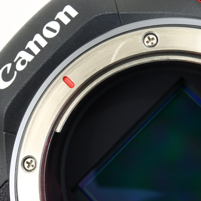 EOS R5 C ボディー
