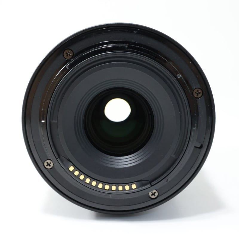 NIKKOR Z DX 50-250mm f/4.5-6.3 VR