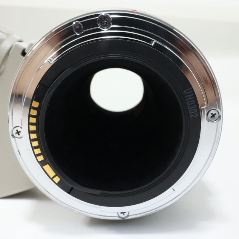 EF 300mm F4 L USM