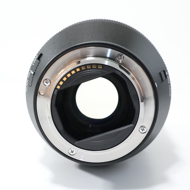 FE 28-70mm F2 GM SEL2870GM