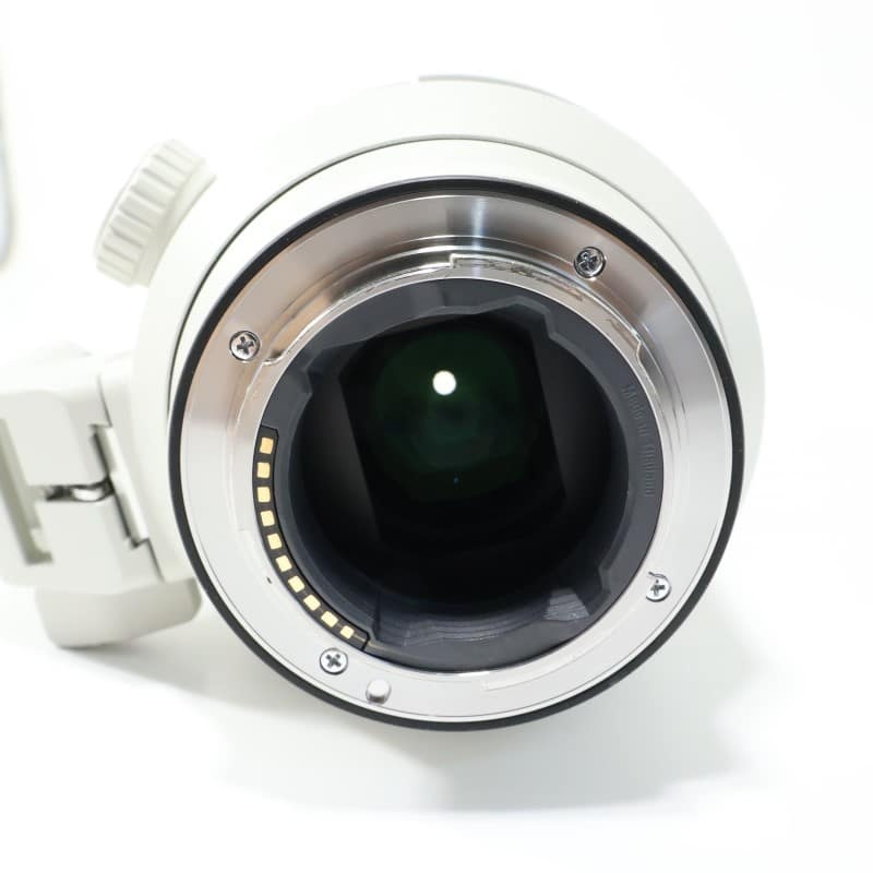 FE 70-200mm F2.8 GM OSS SEL70200GM
