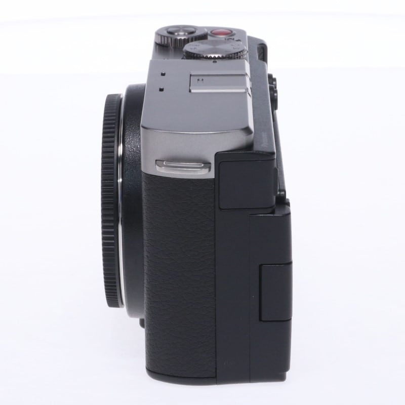 LUMIX S9 ボディ ダークシルバー DC-S9-S