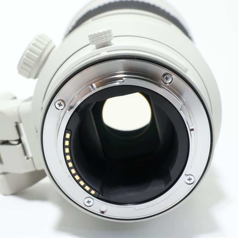 FE 300mm F2.8 GM OSS SEL300F28GM