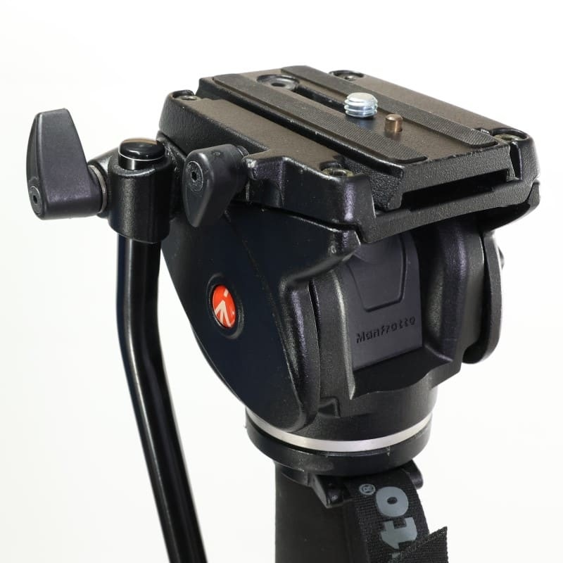 561BHDV-1