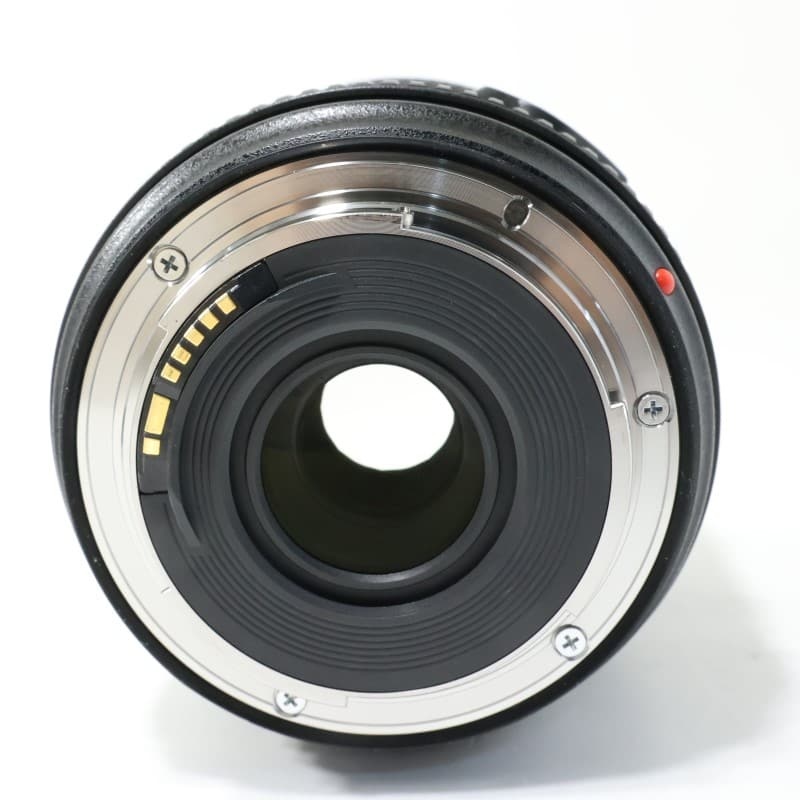 EF24-70mm F4L IS USM