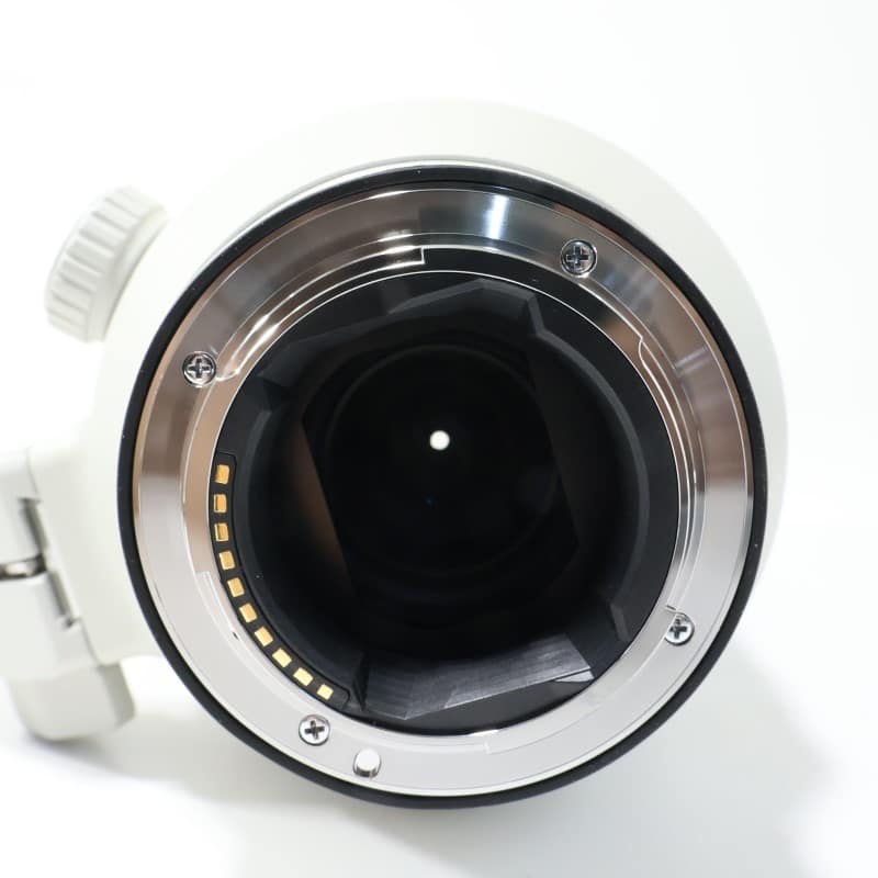 FE 100-400mm F4.5-5.6 GM OSS SEL100400GM