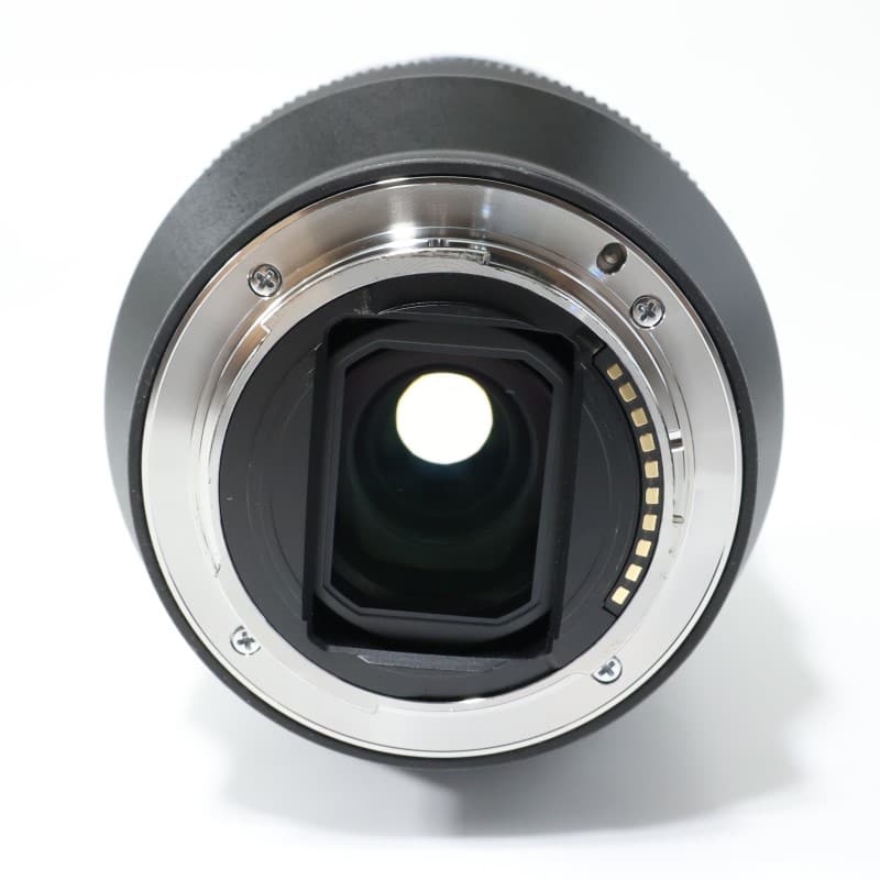 FE 24-105mm F4 G OSS SEL24105G