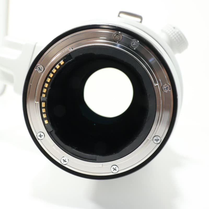 RF100-300mm F2.8 L IS USM
