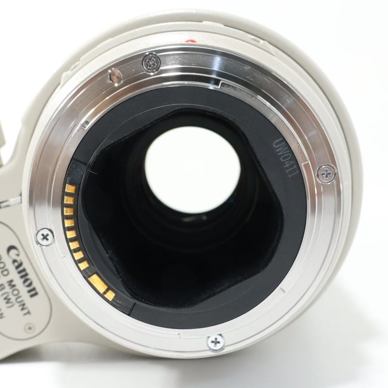 EF 300mm F4 L IS USM