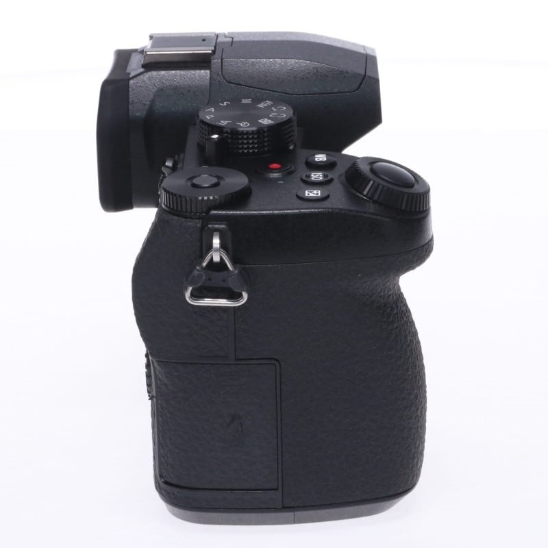 LUMIX G99 DC-G99