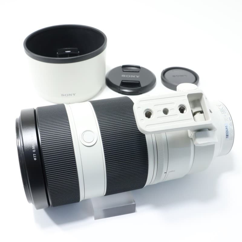 FE 100-400mm F4.5-5.6 GM OSS SEL100400GM