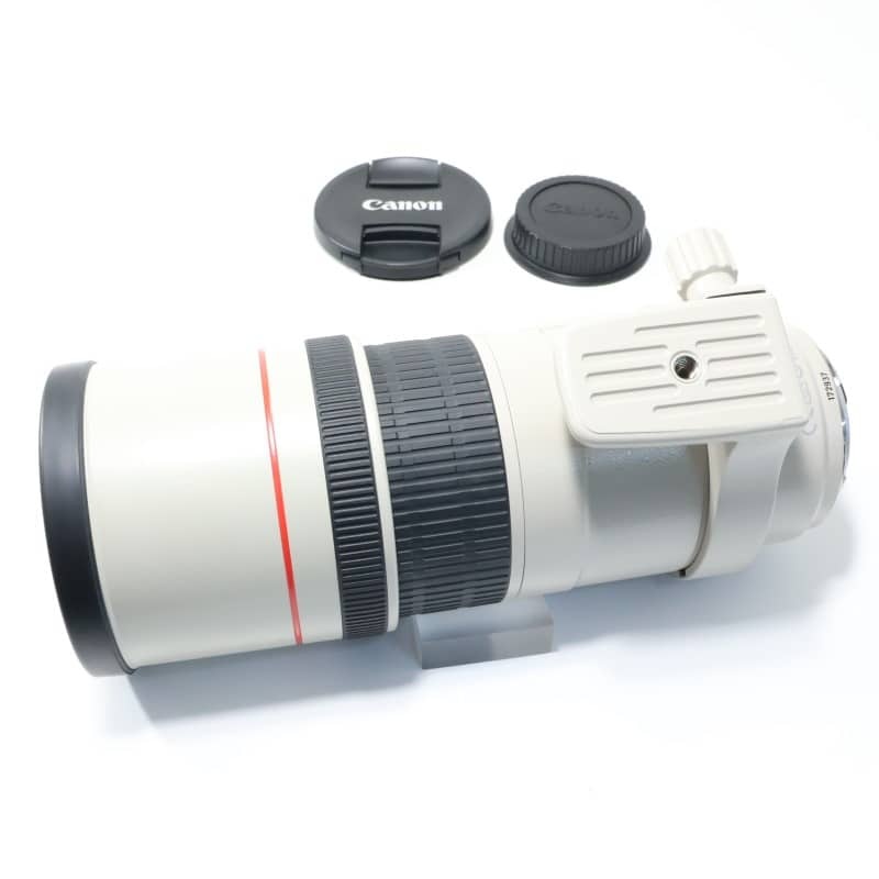 EF 300mm F4 L IS USM