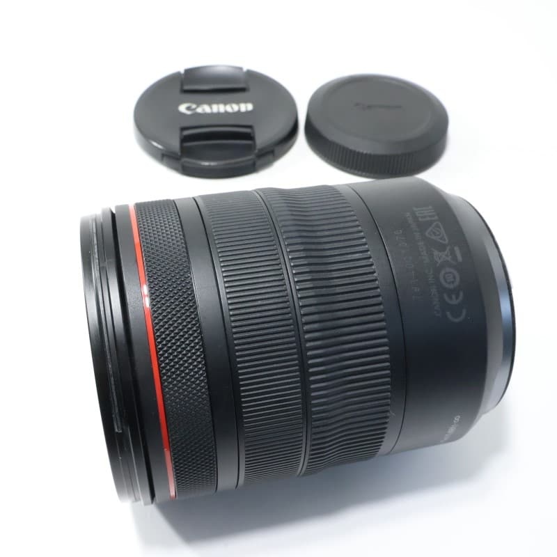RF24-105mm F4 L IS USM