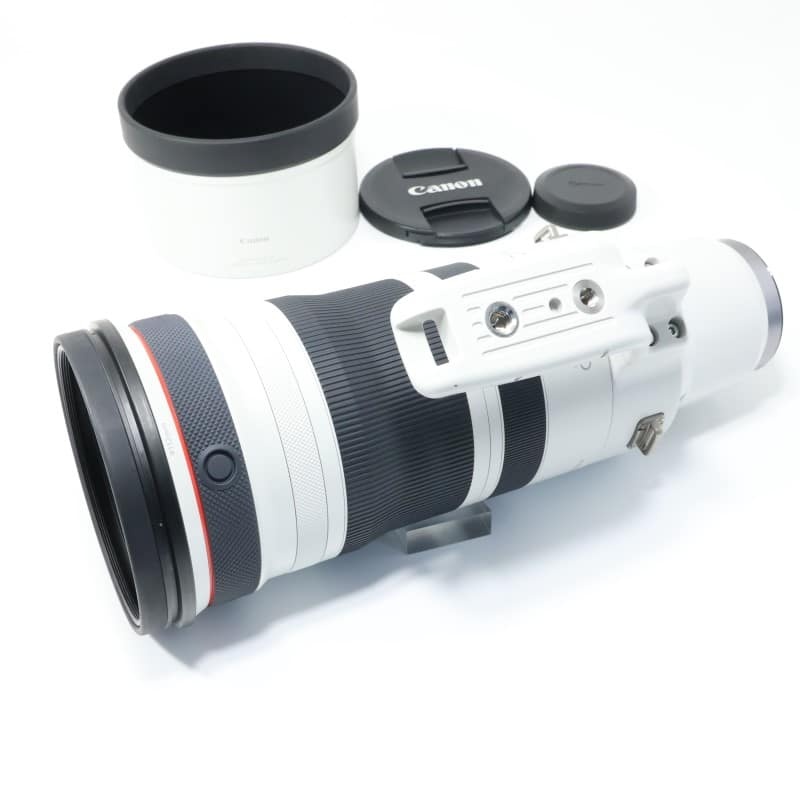 RF100-300mm F2.8 L IS USM