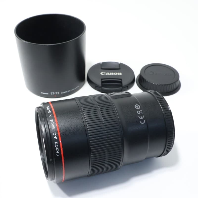 EF100mm F2.8Lマクロ IS USM