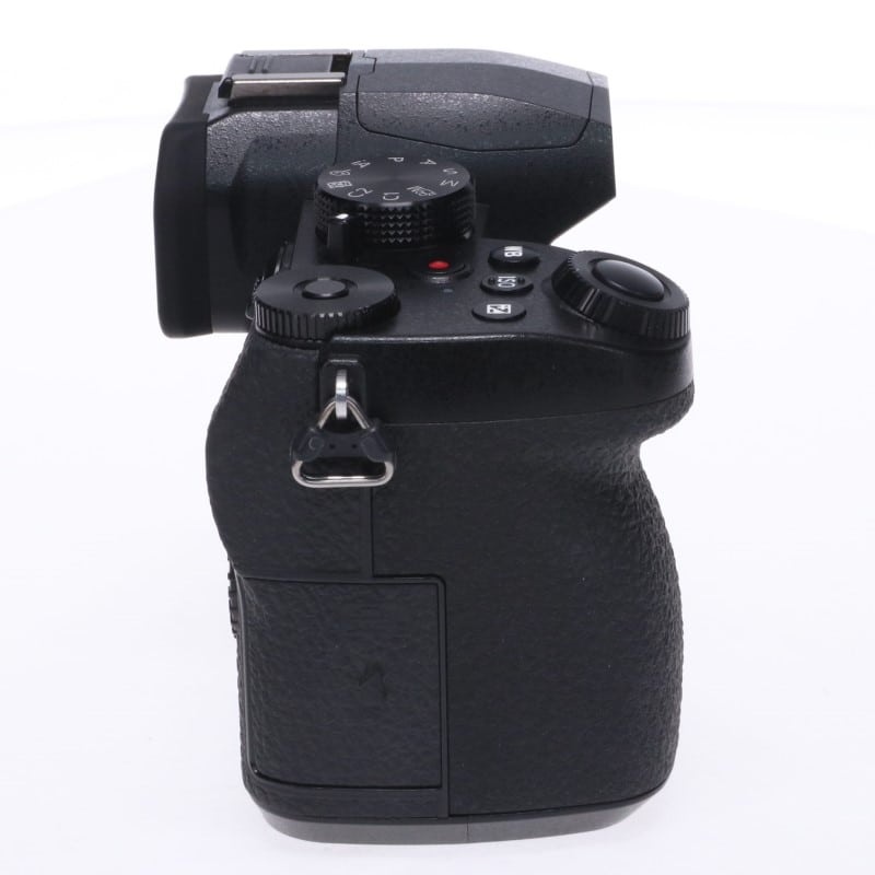 LUMIX G99 DC-G99