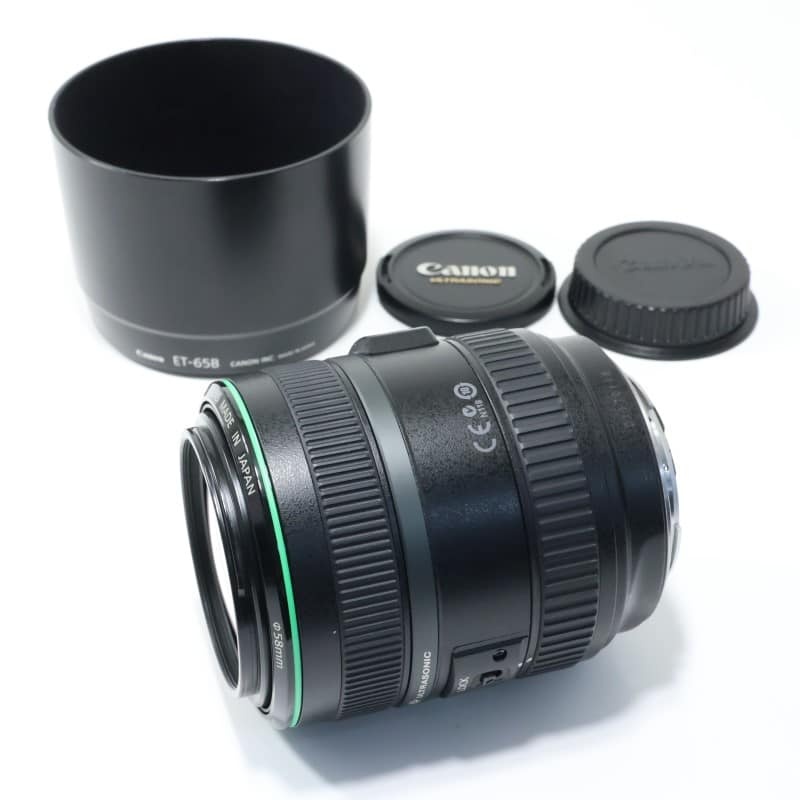 EF 70-300mm F4.5-5.6 DO IS USM