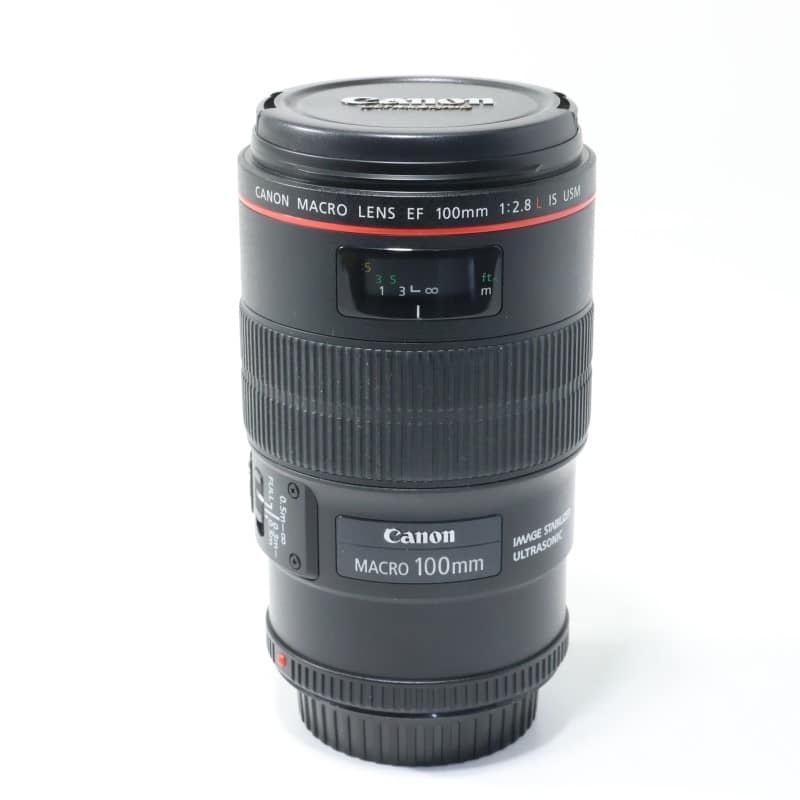 EF100mm F2.8Lマクロ IS USM
