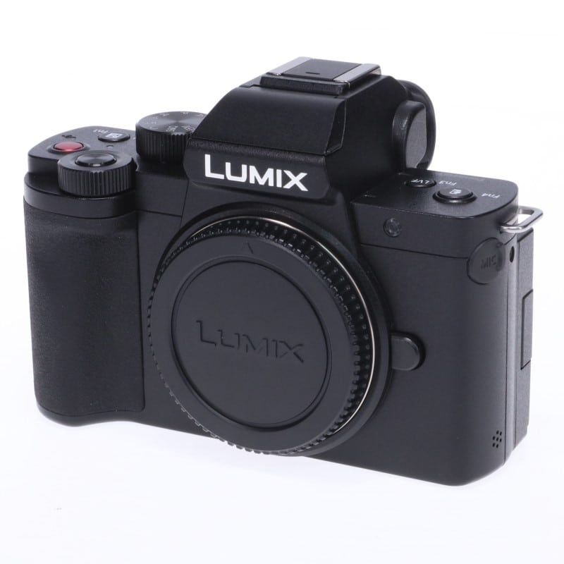 LUMIX G100 ボディ DC-G100