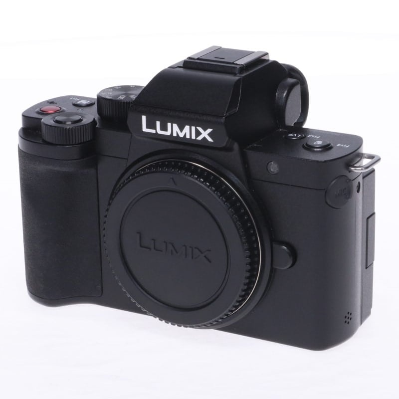 LUMIX G100 ボディ DC-G100