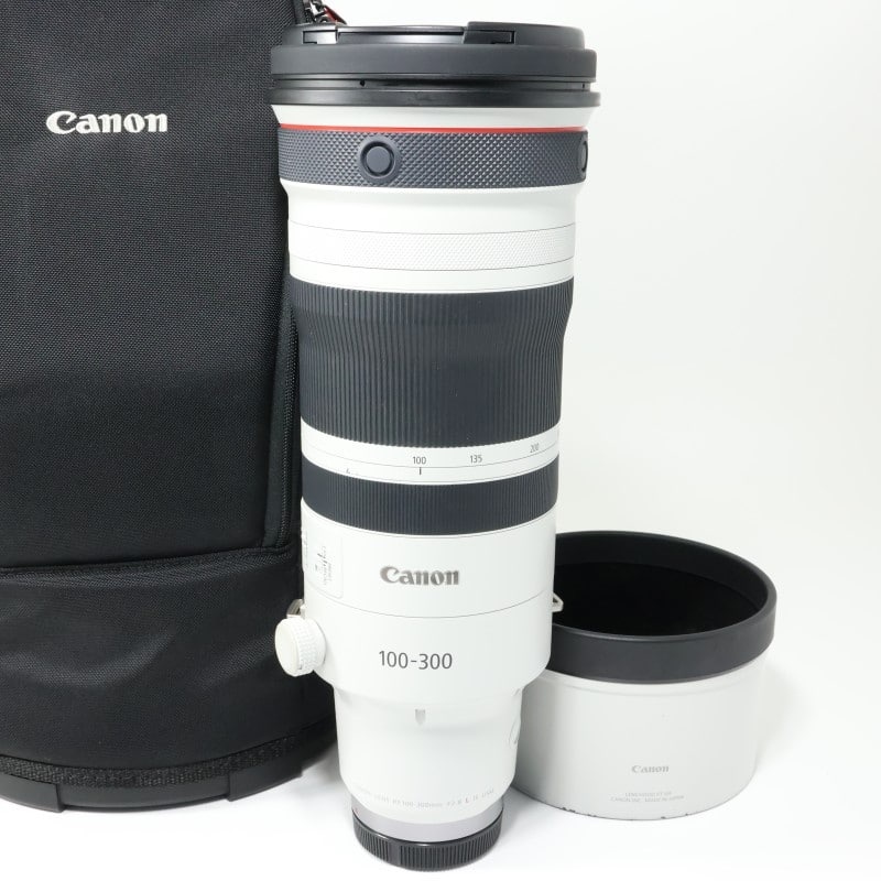 RF100-300mm F2.8 L IS USM