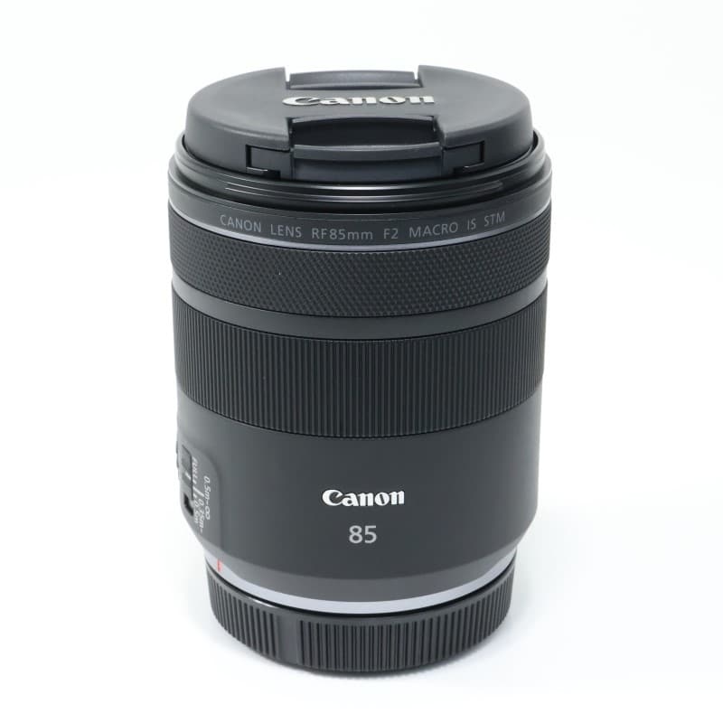 RF85mm F2 MACRO IS STM