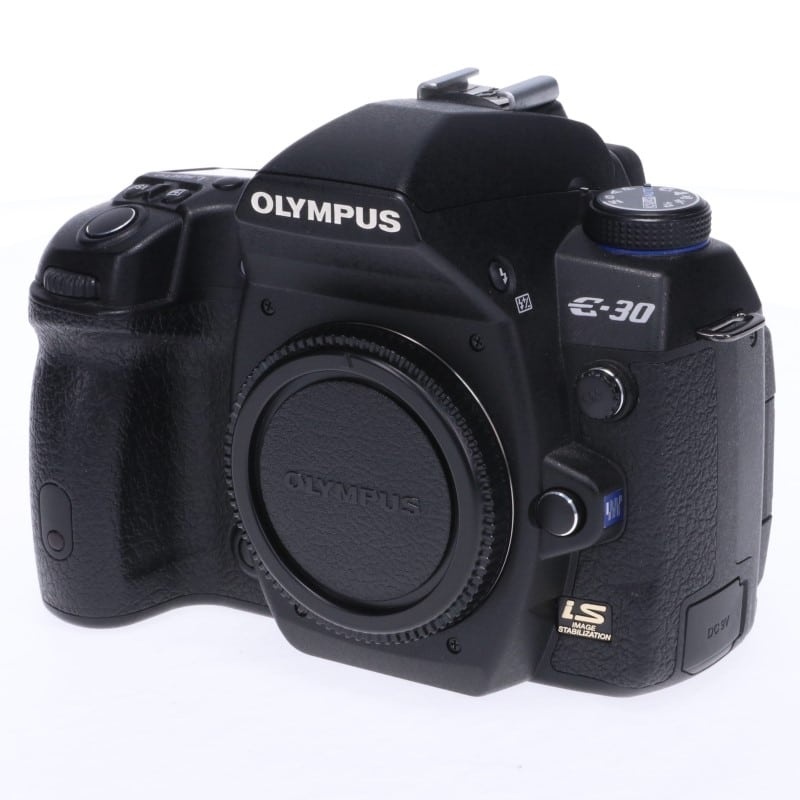 E-30 ボディ