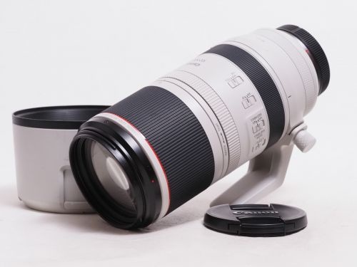 RF 100-500mm F4.5-7.1L IS USM 【中古】(L:580)
