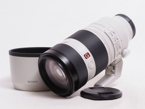 FE 100-400mm F4.5-5.6 GM OSS 【中古】(L:506)
