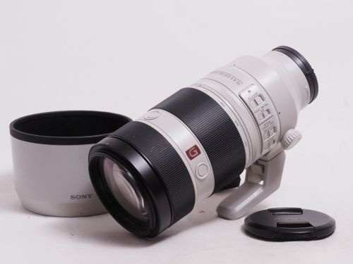 FE 100-400mm F4.5-5.6 GM OSS 【中古】(L:146)
