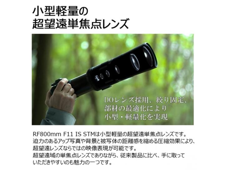 RFレンズ RF800mm F11 IS STM 新品
